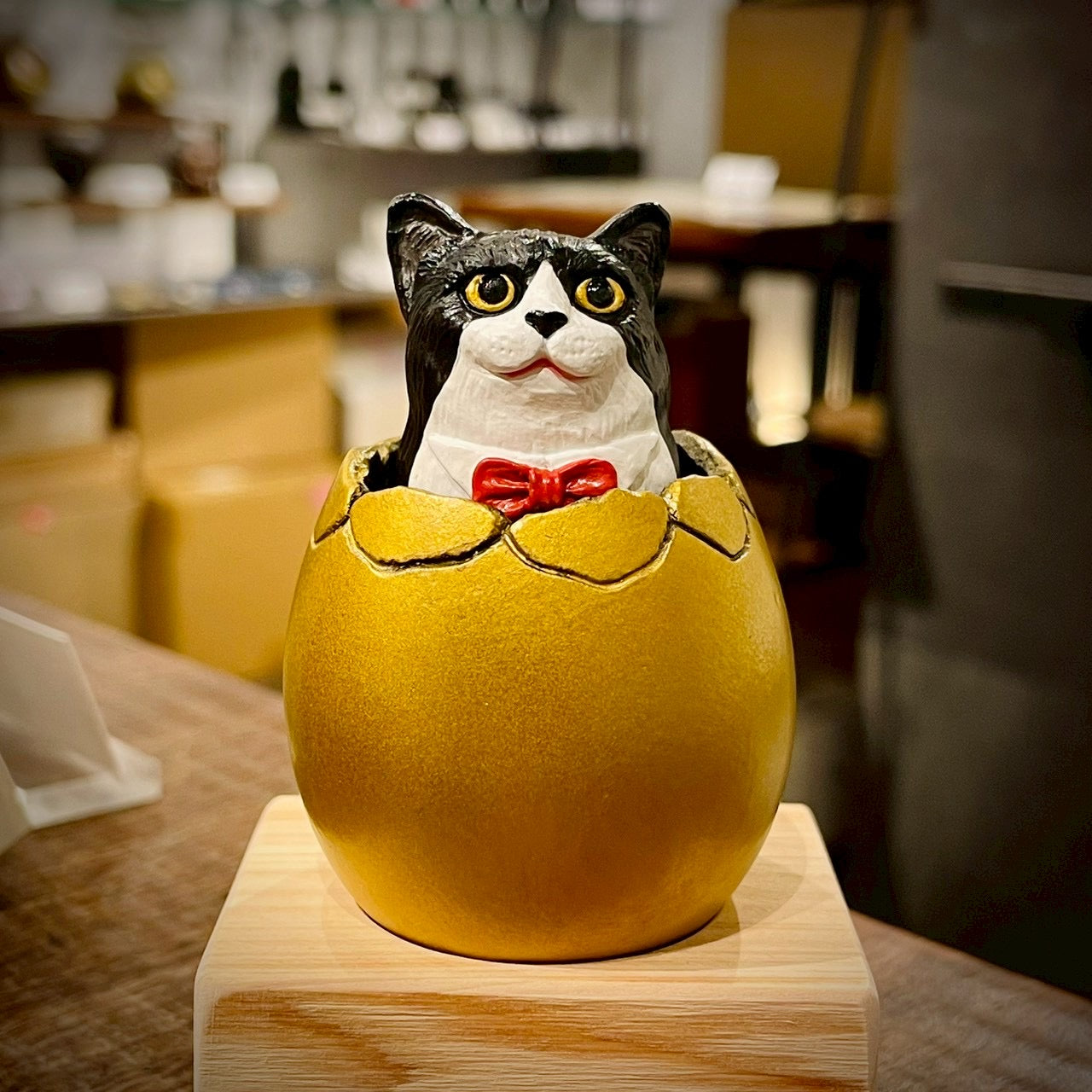 サブちゃん誕生/Hatching Cat – matamata