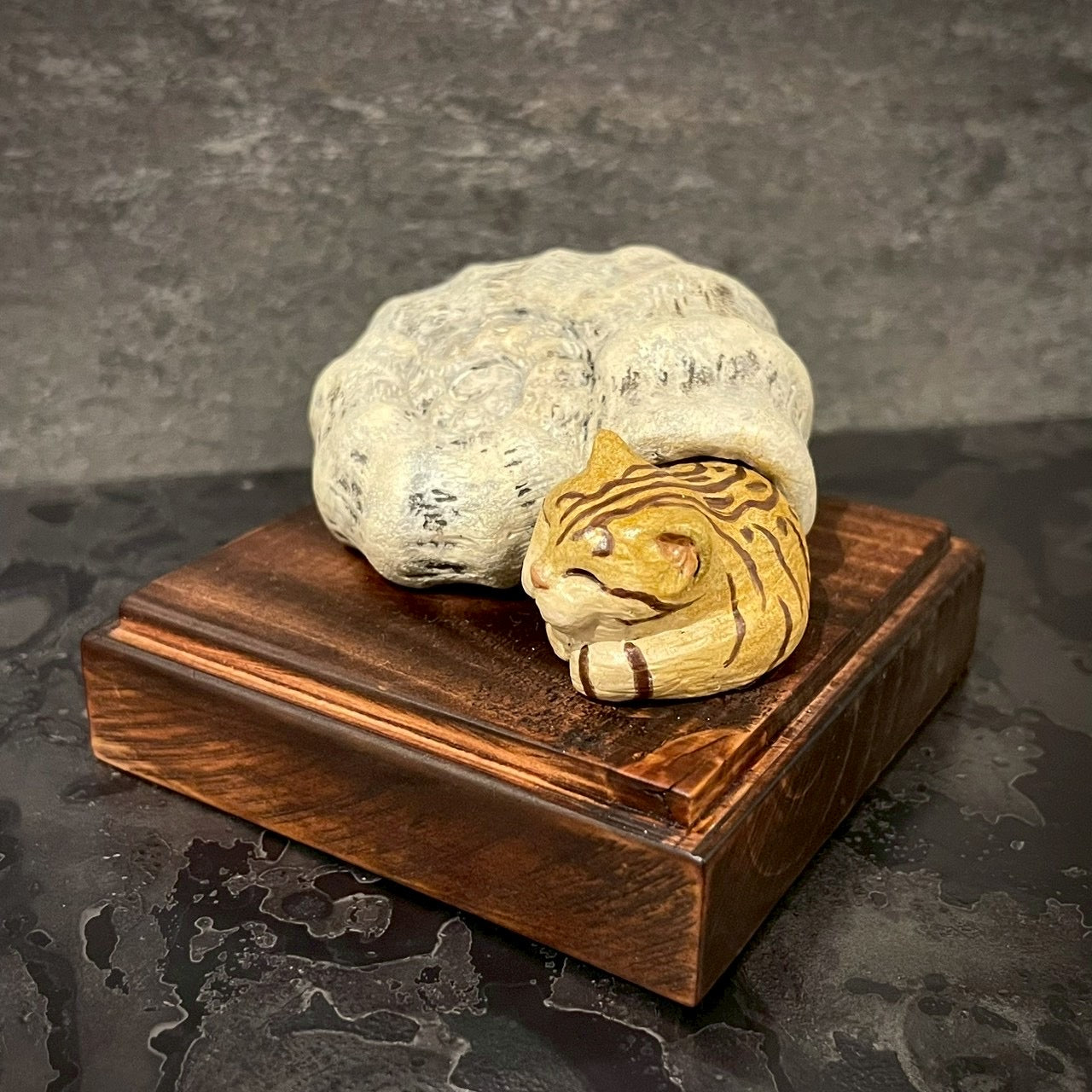 アンモニャイト(お昼寝中)＊茶トラ Ammonite Cat