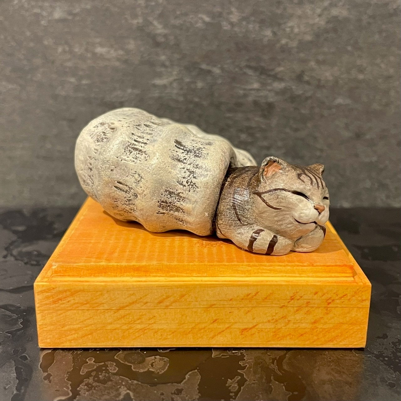 アンモニャイト(お昼寝中)＊キジトラ Ammonite Cat