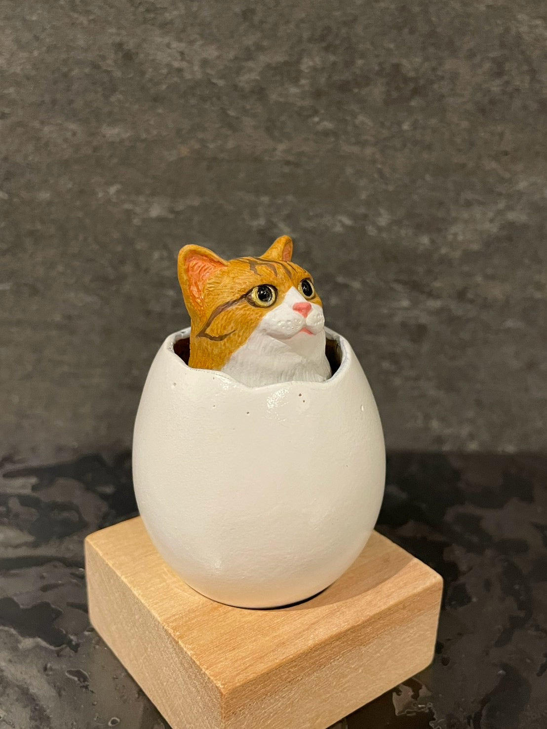 ひょこっとタマゴネコ(茶白)Hatching Cat