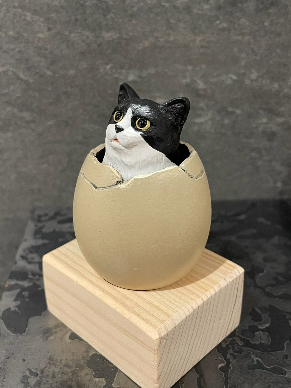 ひょこっとタマゴネコ(ハチワレ)Hatching Cat