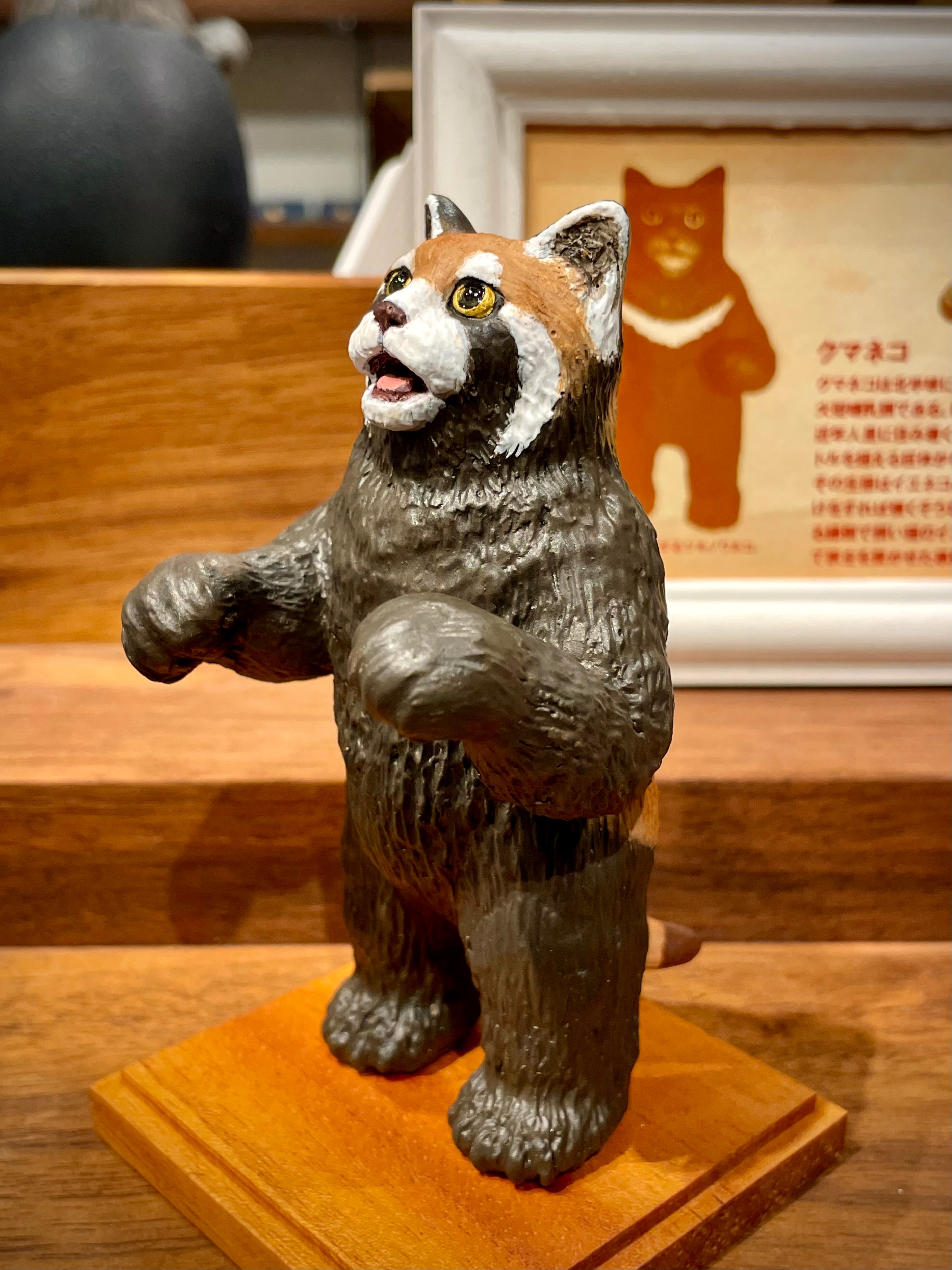 小熊猫猫(レッサーパンダネコ)Bear Cat