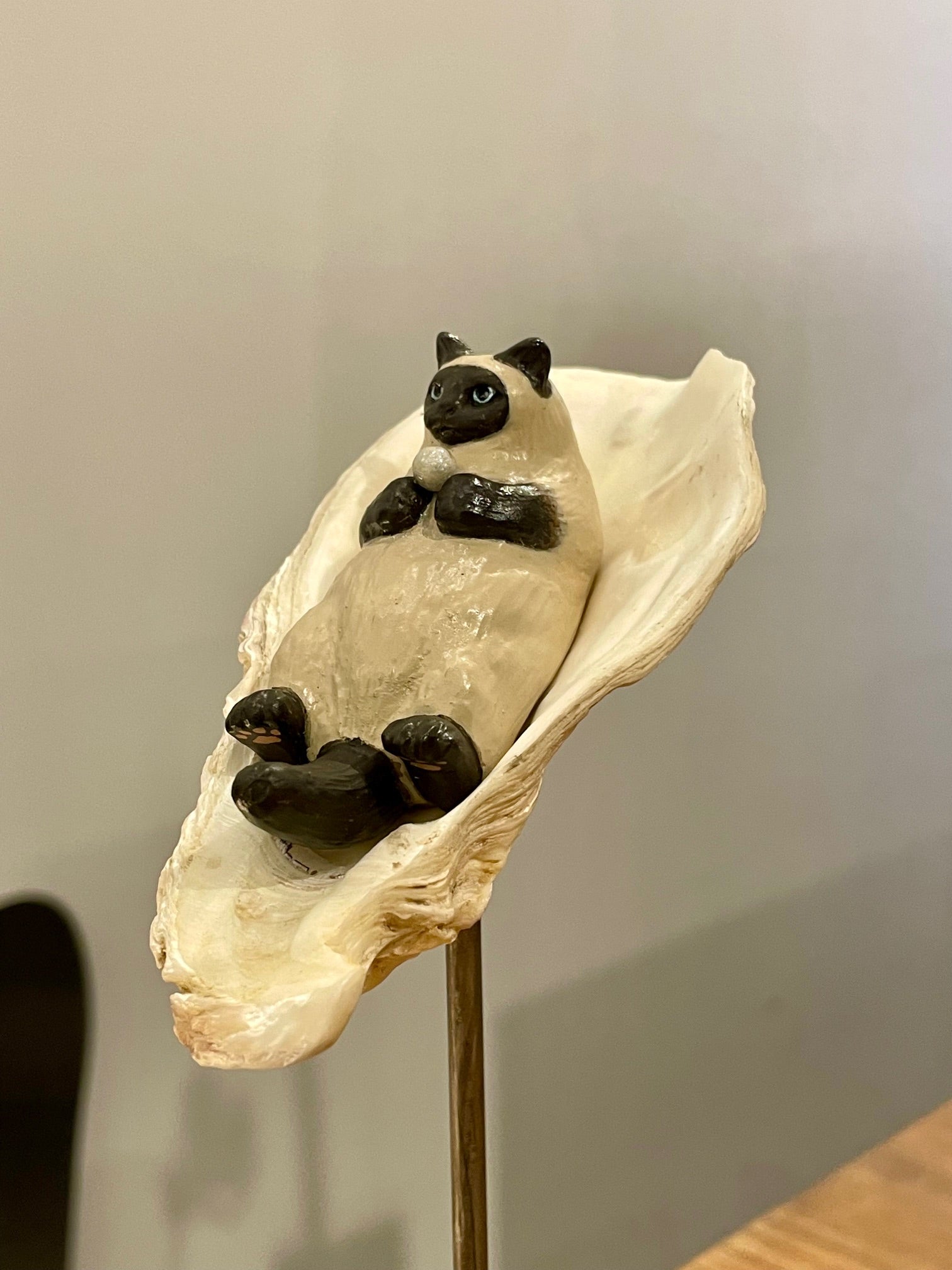 牡蠣猫の標本(Oyster Cat)