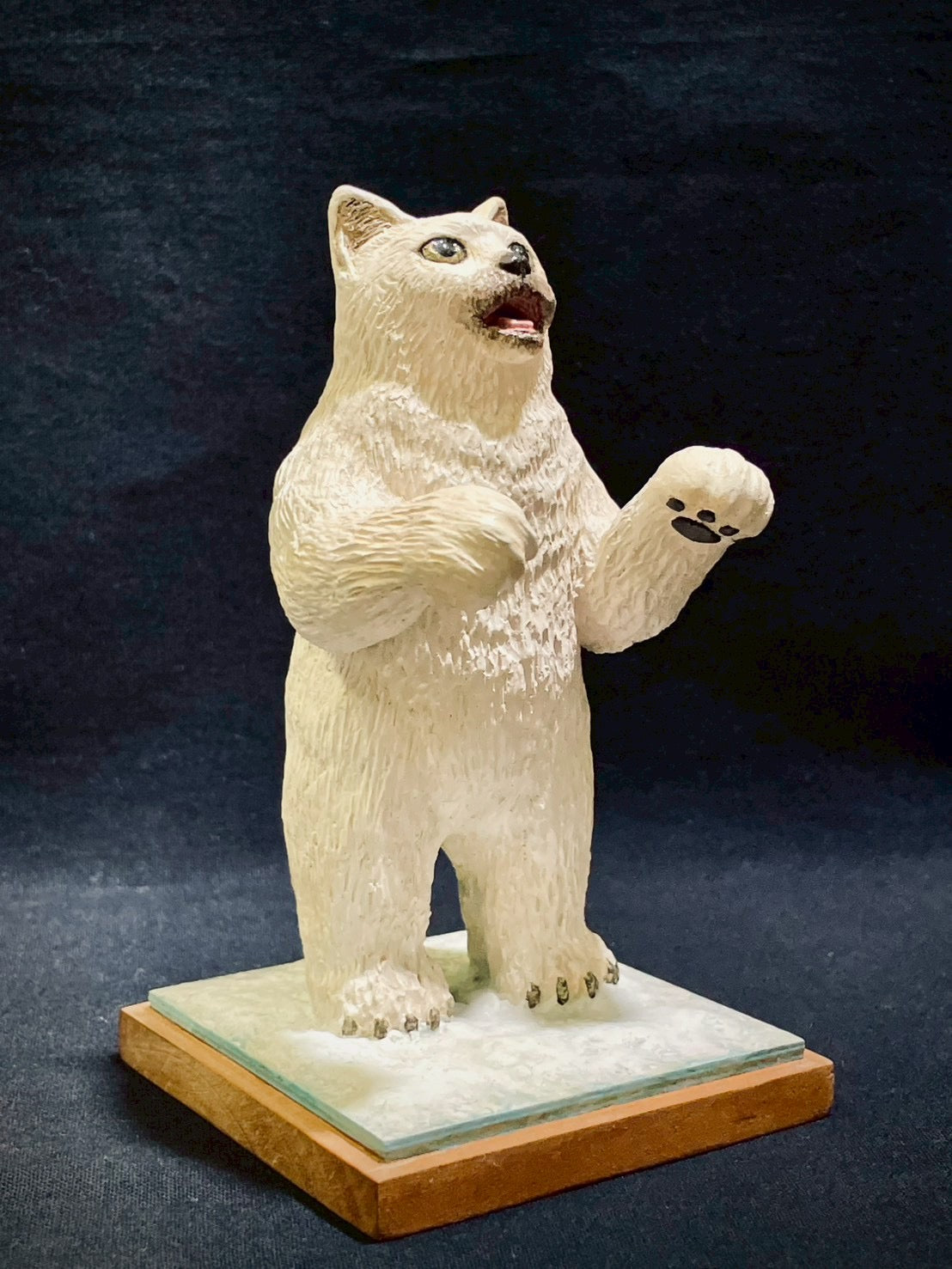 ホッキョククマネコ(Bear Cat)