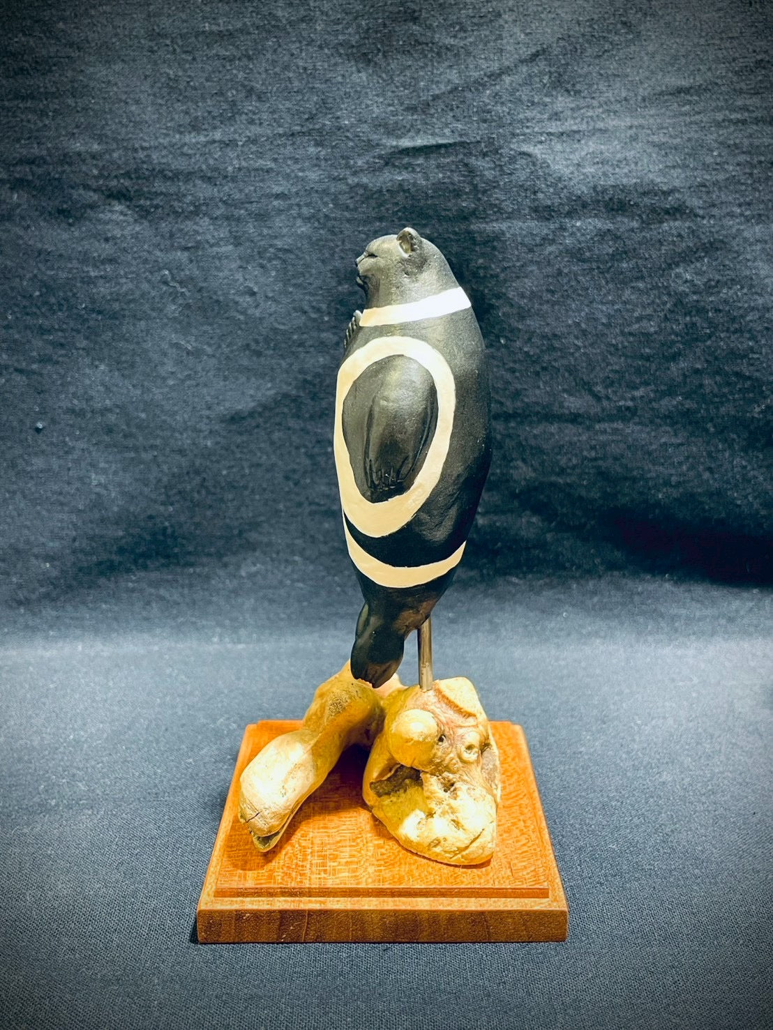 matamata