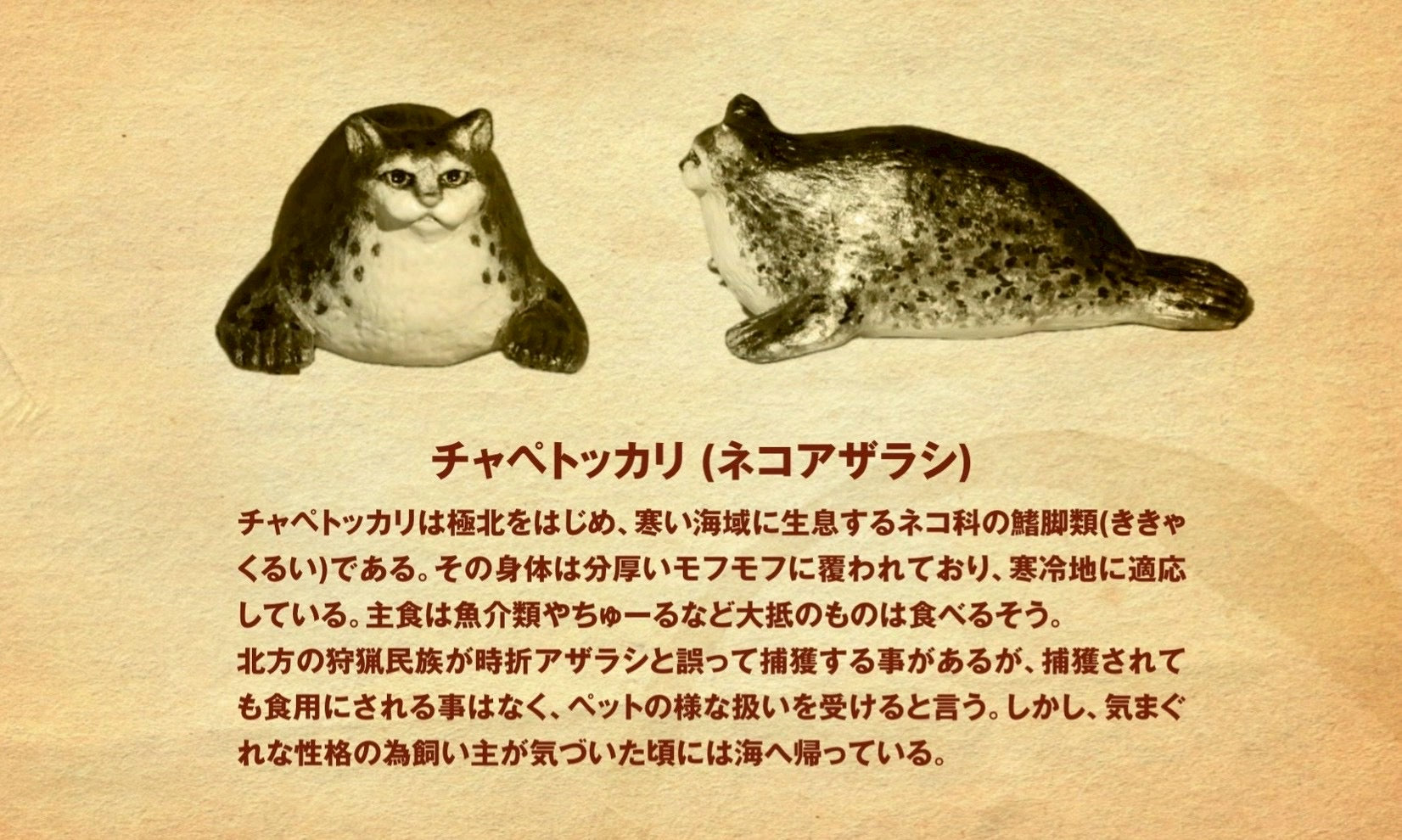 matamata