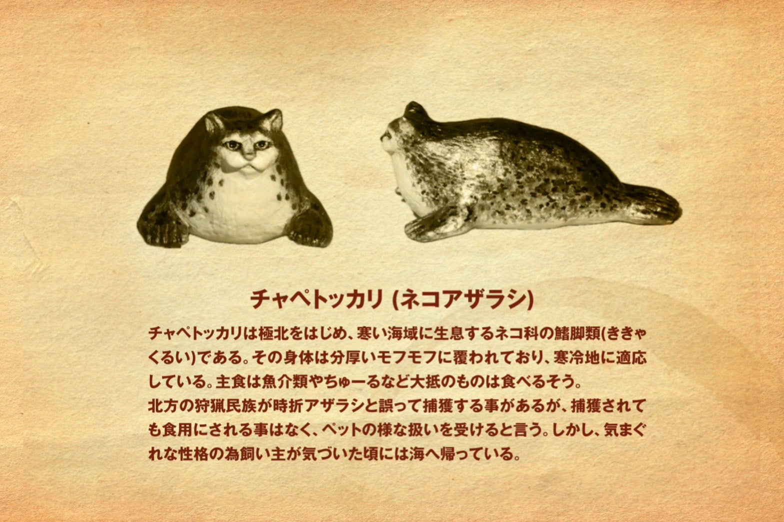 matamata