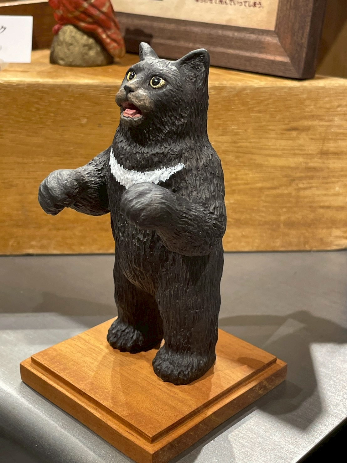 ツキノワクマネコ(Bear Cat)