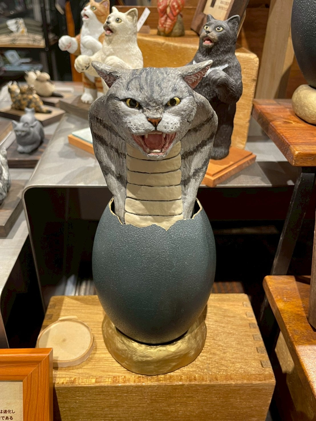 matamata