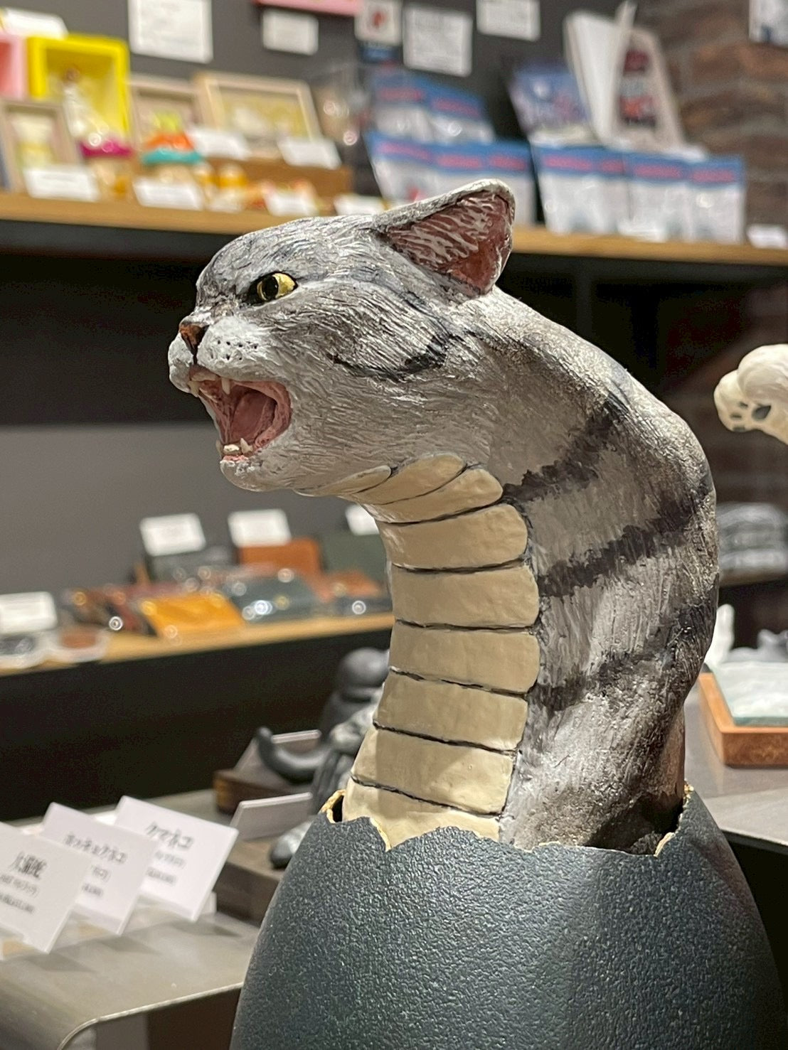 matamata
