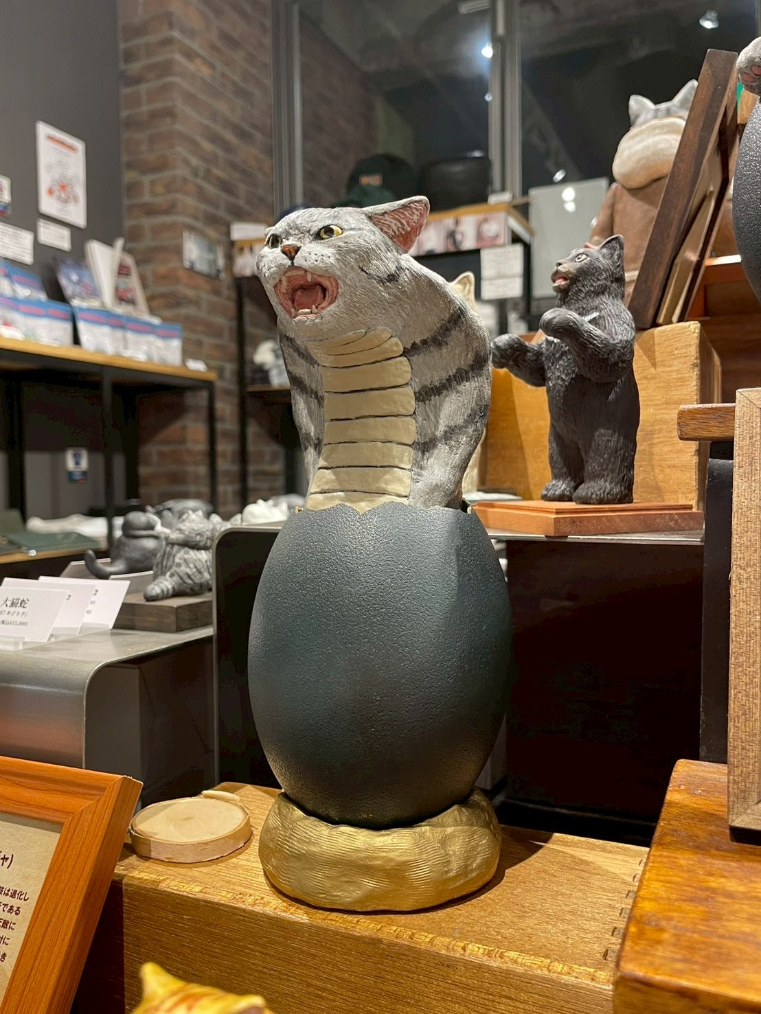 matamata