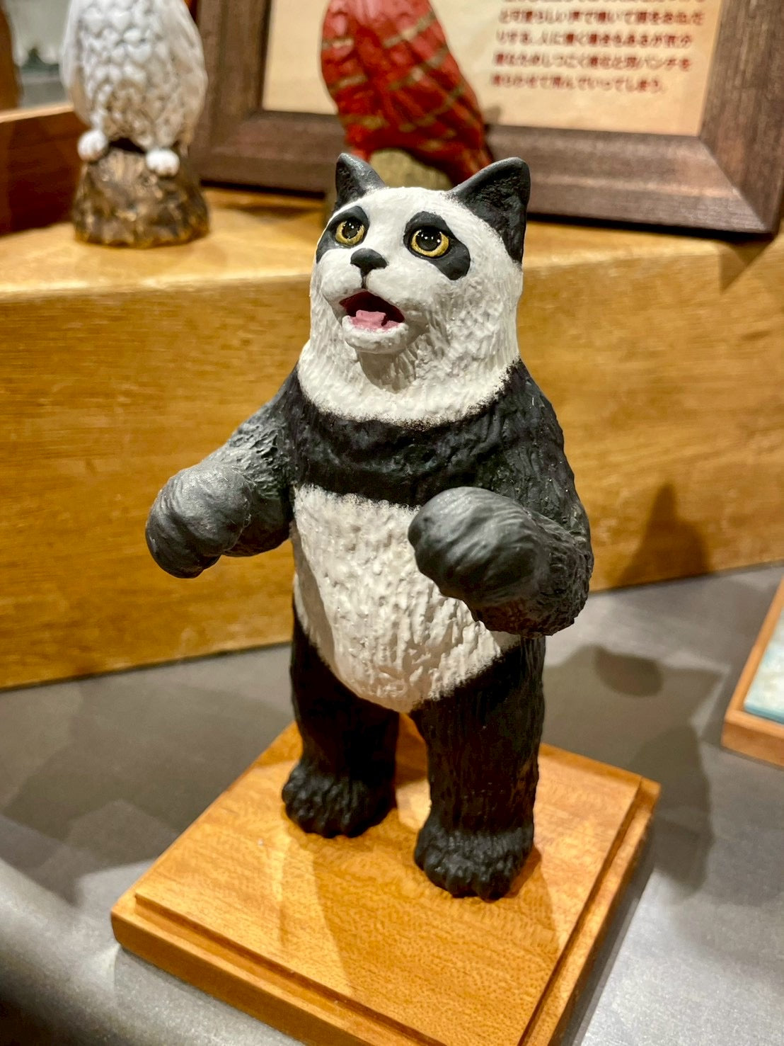 大熊猫猫(パンダネコ)Bear Cat