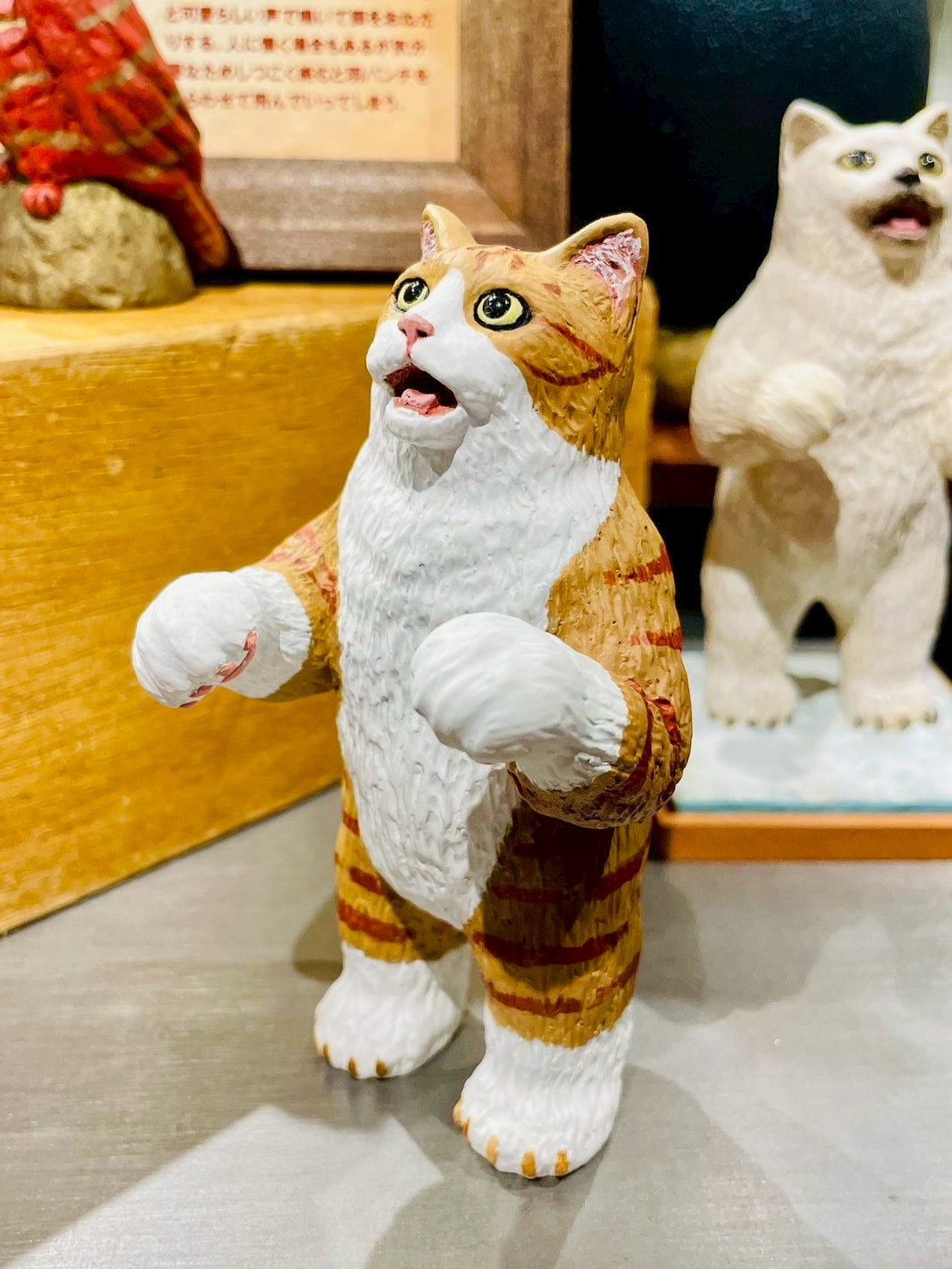 クマネコ(茶白)Bear Cat