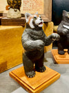小熊猫猫(レッサーパンダネコ)Bear Cat