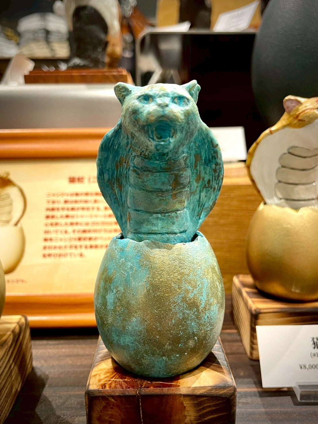 猫蛇(青銅・サクラ耳)Kitten Snake