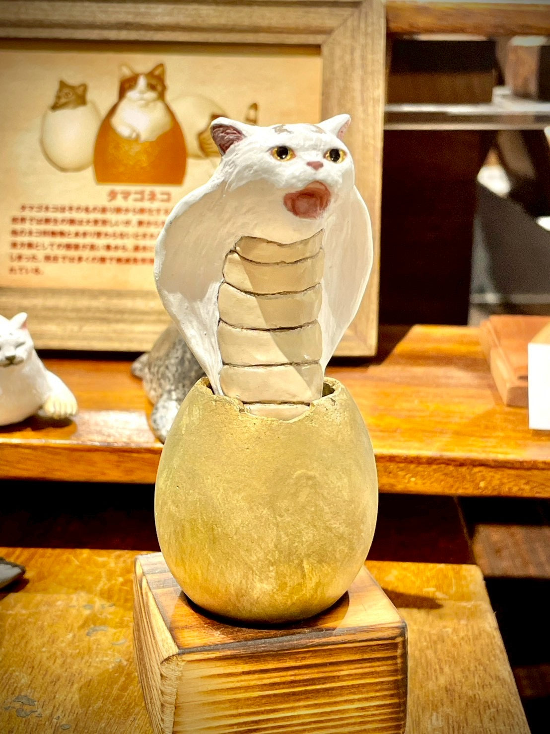matamata