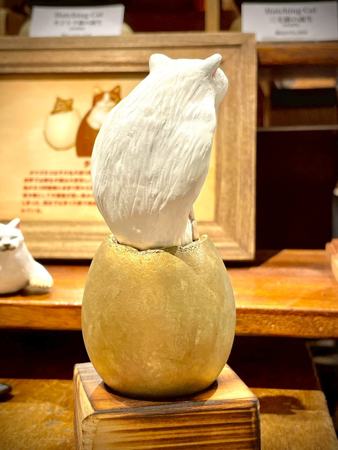 matamata