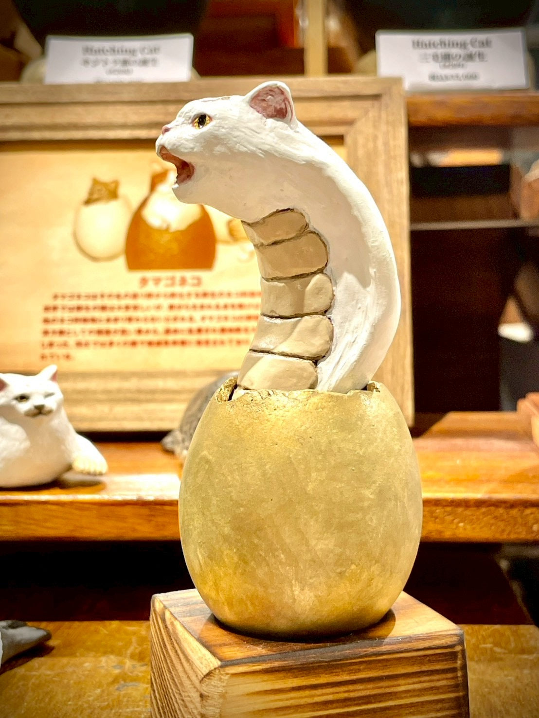 matamata