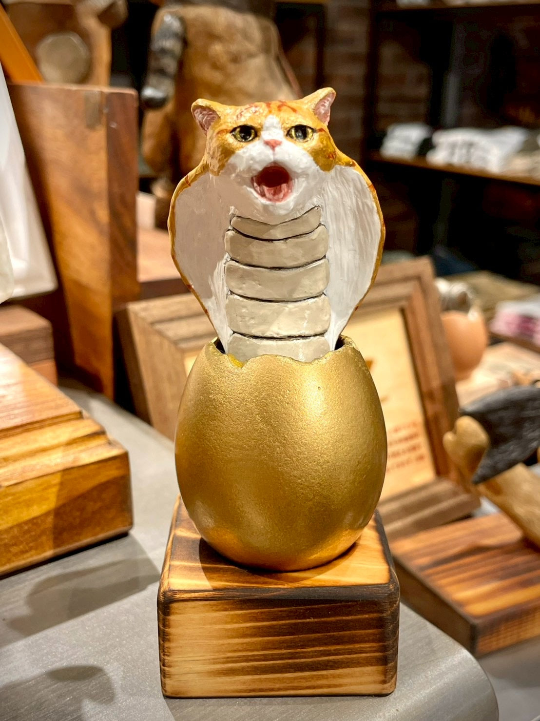 猫蛇(茶白)Kitten Snake