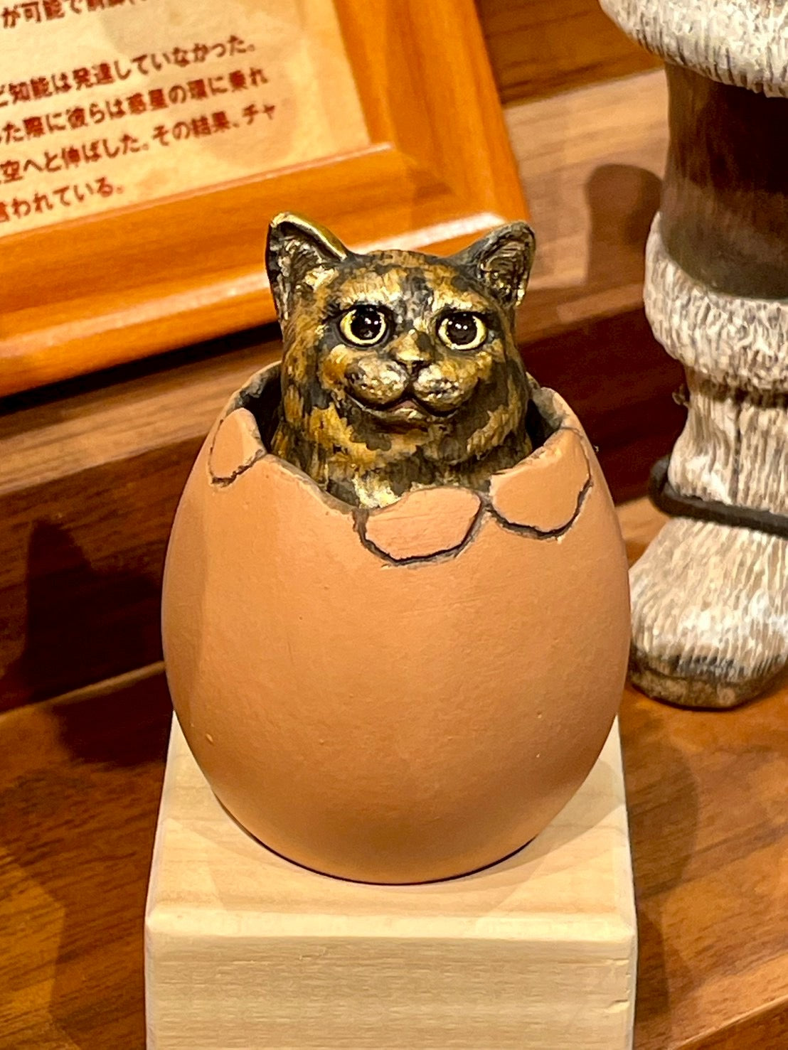matamata