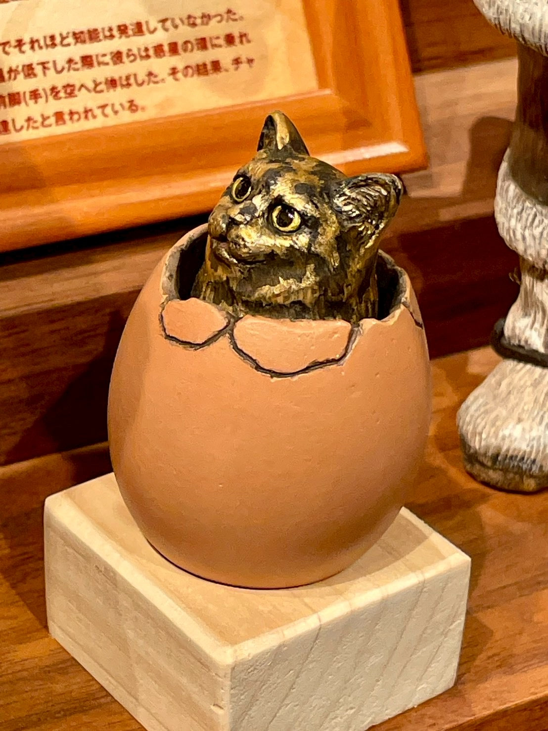 ひょこっとタマゴネコ(サビ猫)Hatching Cat