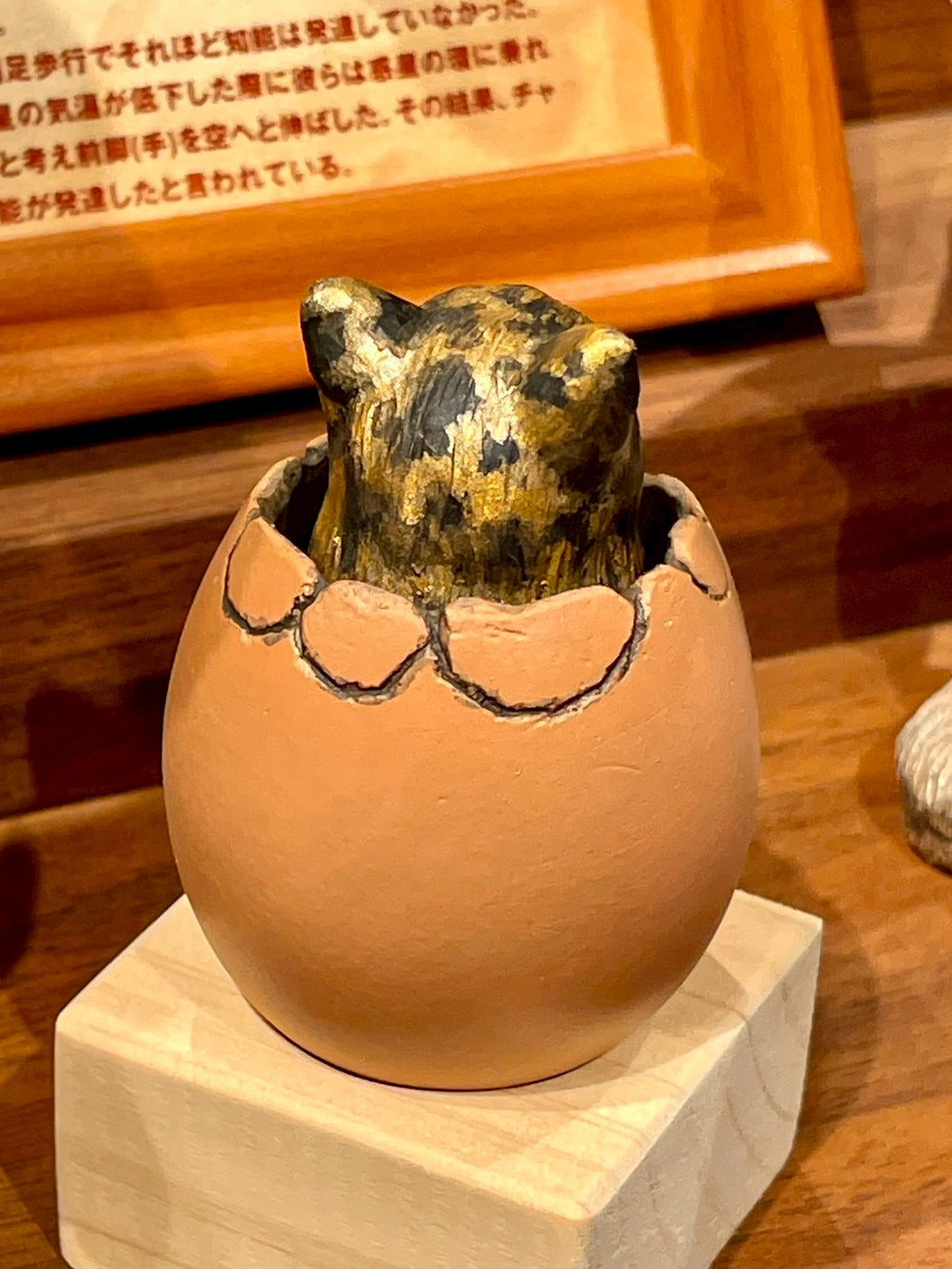 matamata