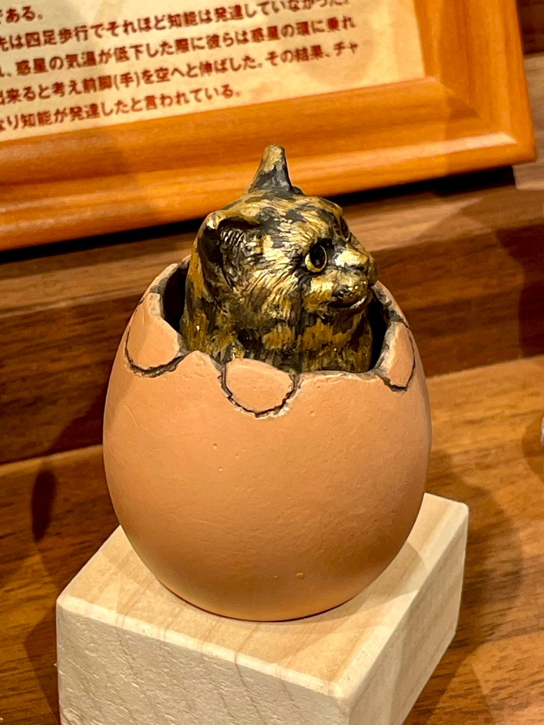 matamata