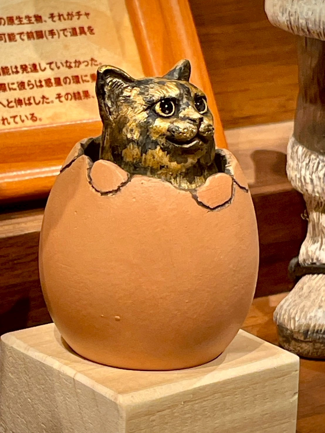matamata