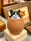 ひょこっとタマゴネコ(ハチワレ)Hatching Cat