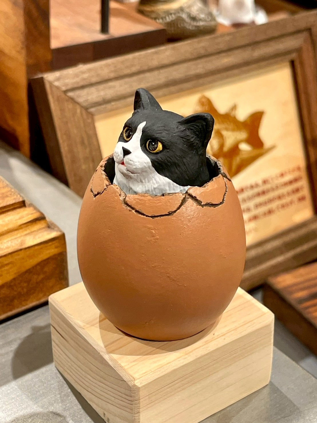 matamata