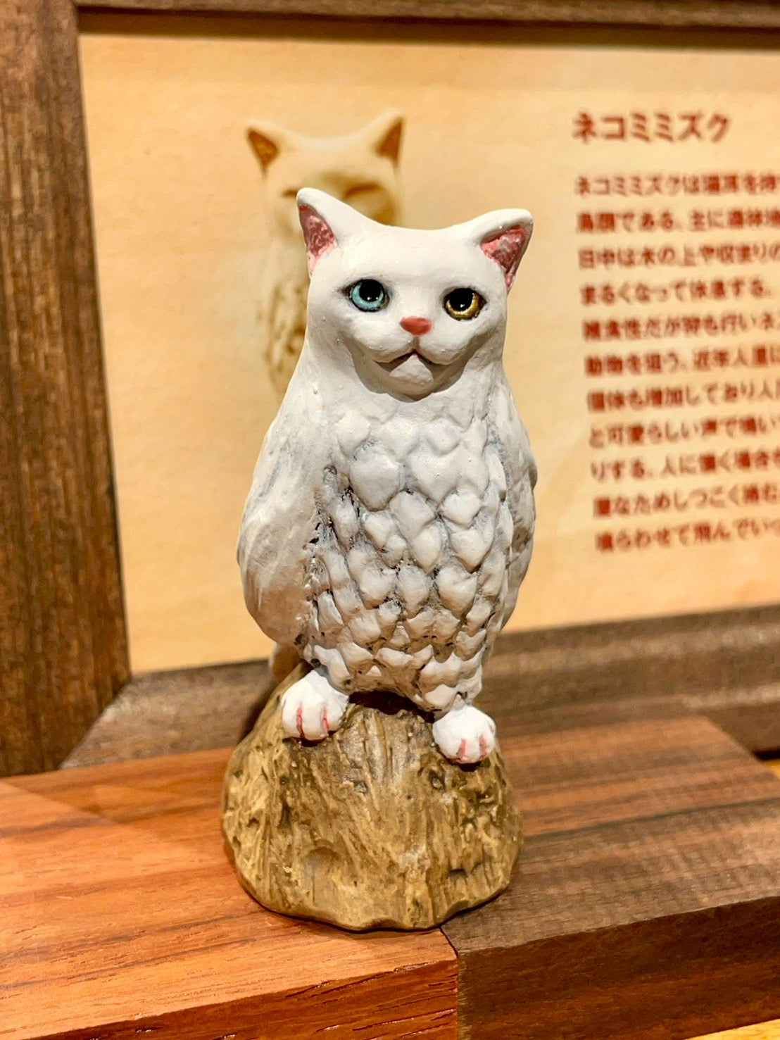 matamata