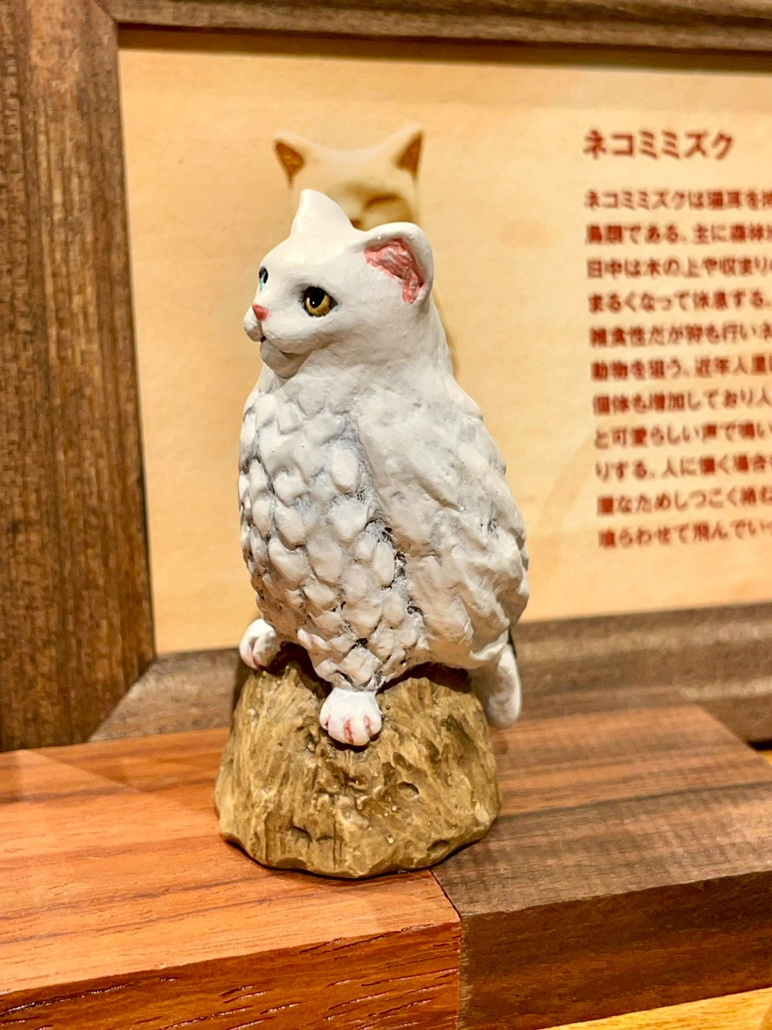 ネコミミズク(白猫オッドアイ)Owl Cat