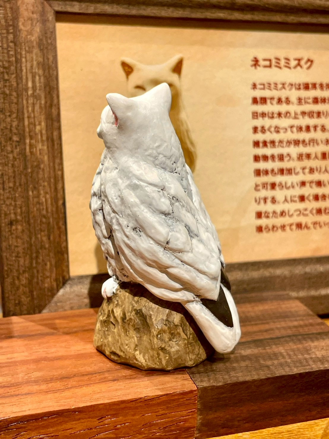 matamata