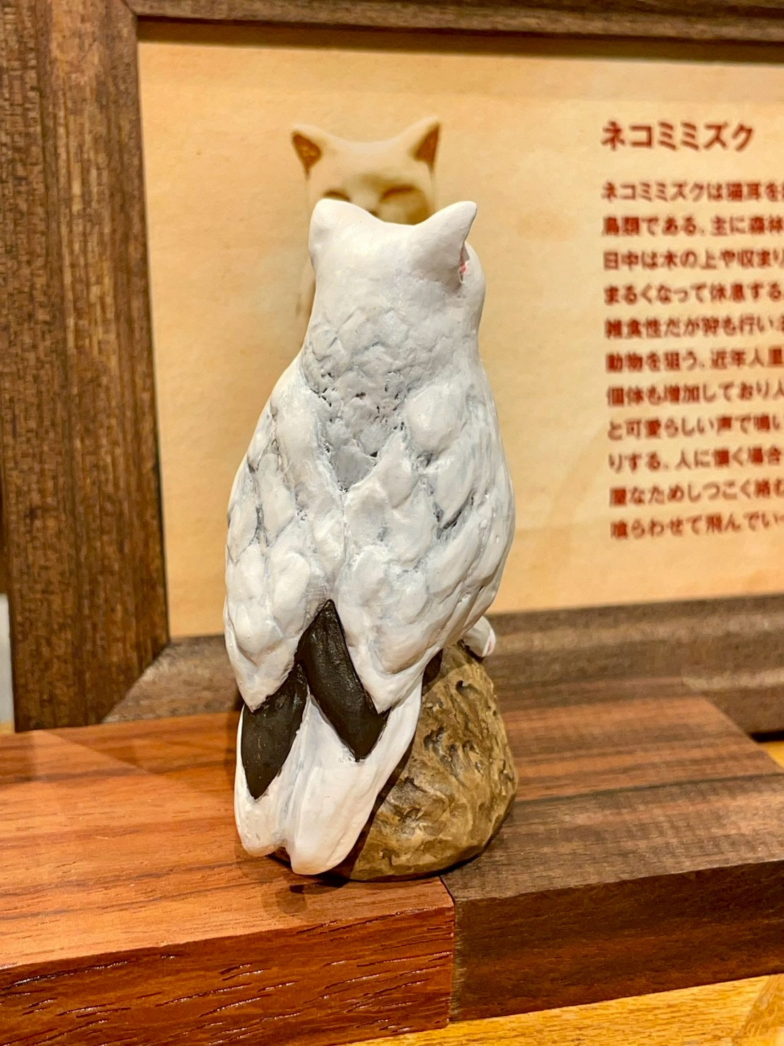 matamata