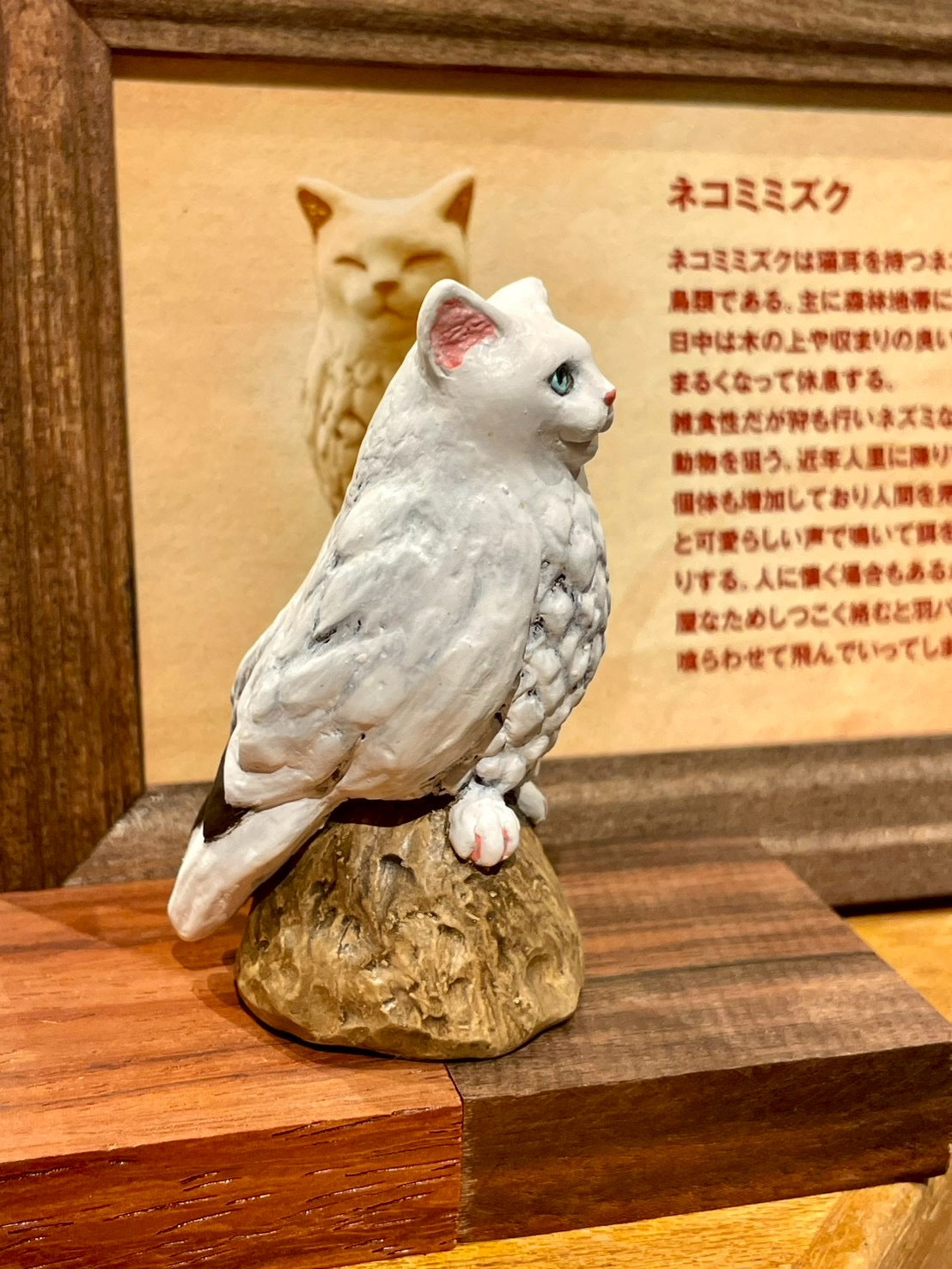 matamata