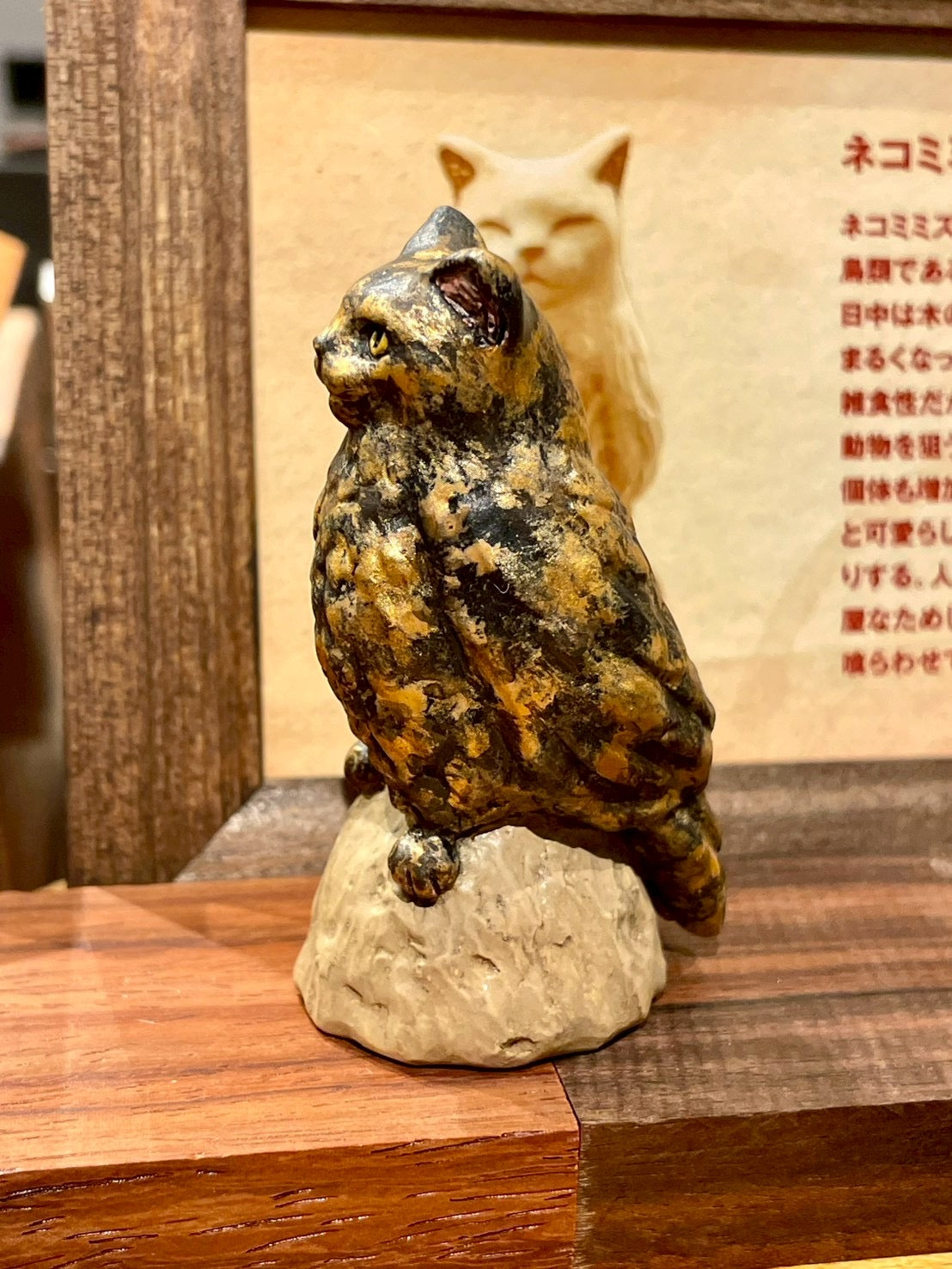 ネコミミズク(サビ猫)Owl Cat