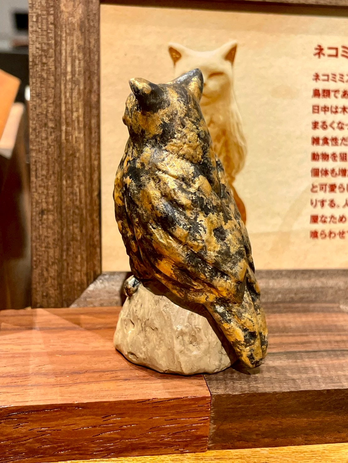 matamata