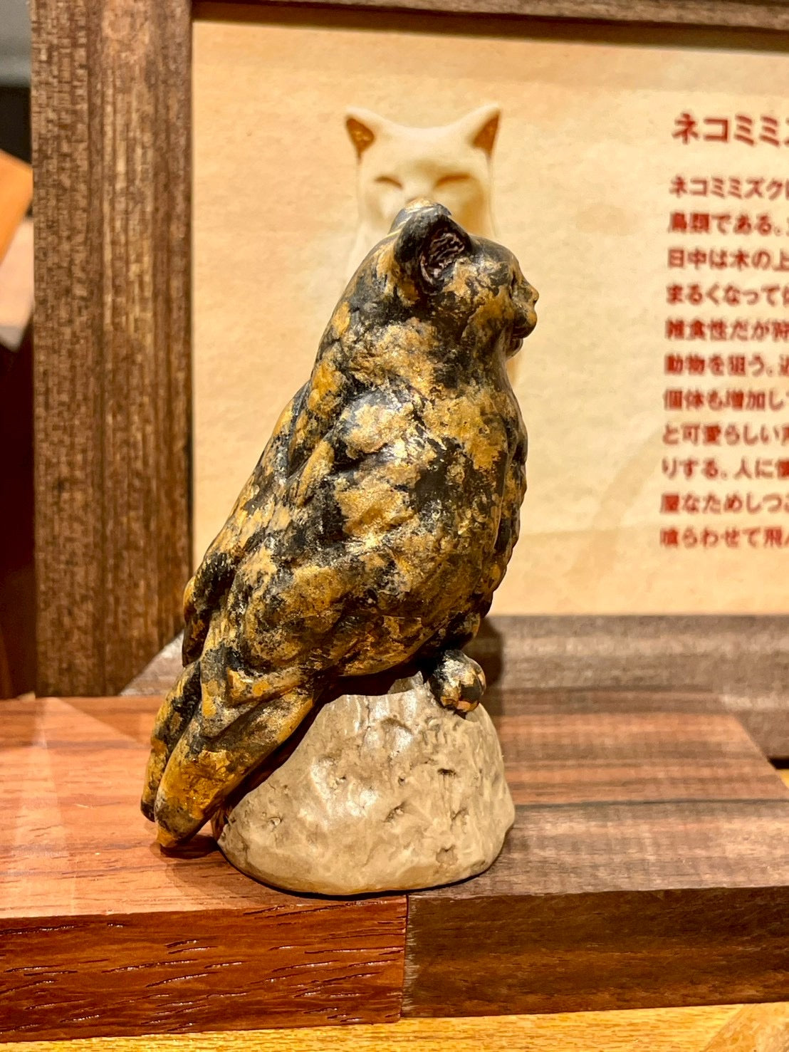 matamata