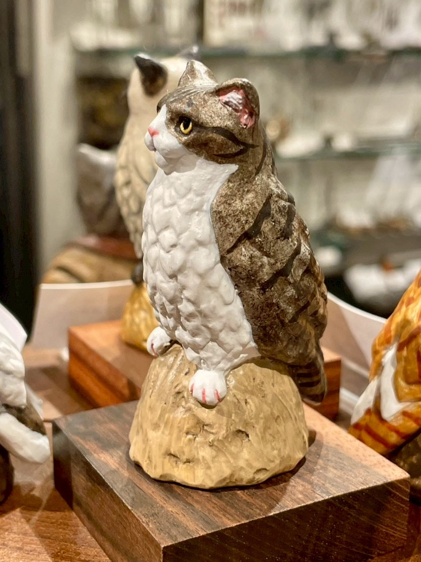 ネコミミズク(キジ白)Owl Cat