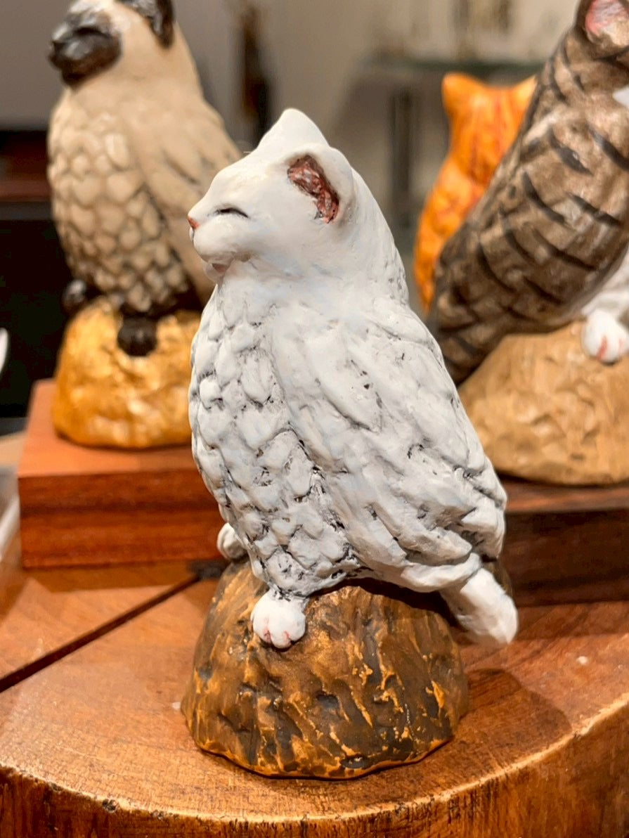 お眠りネコミミズク(白猫)Owl Cat