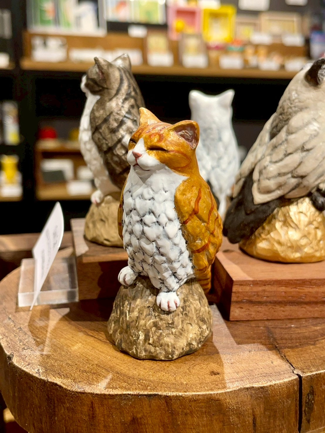 お眠りネコミミズク(茶白)Owl Cat