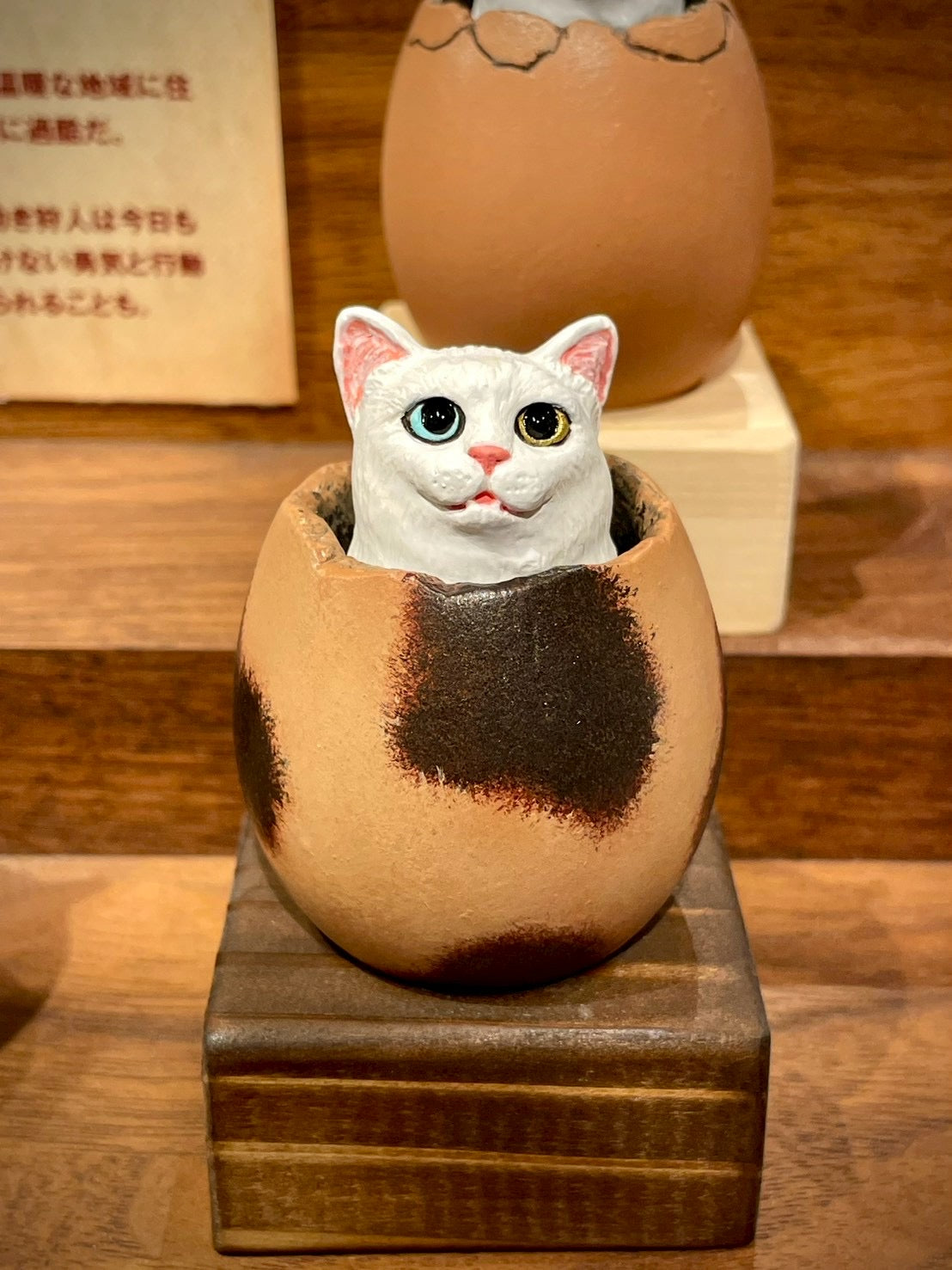matamata