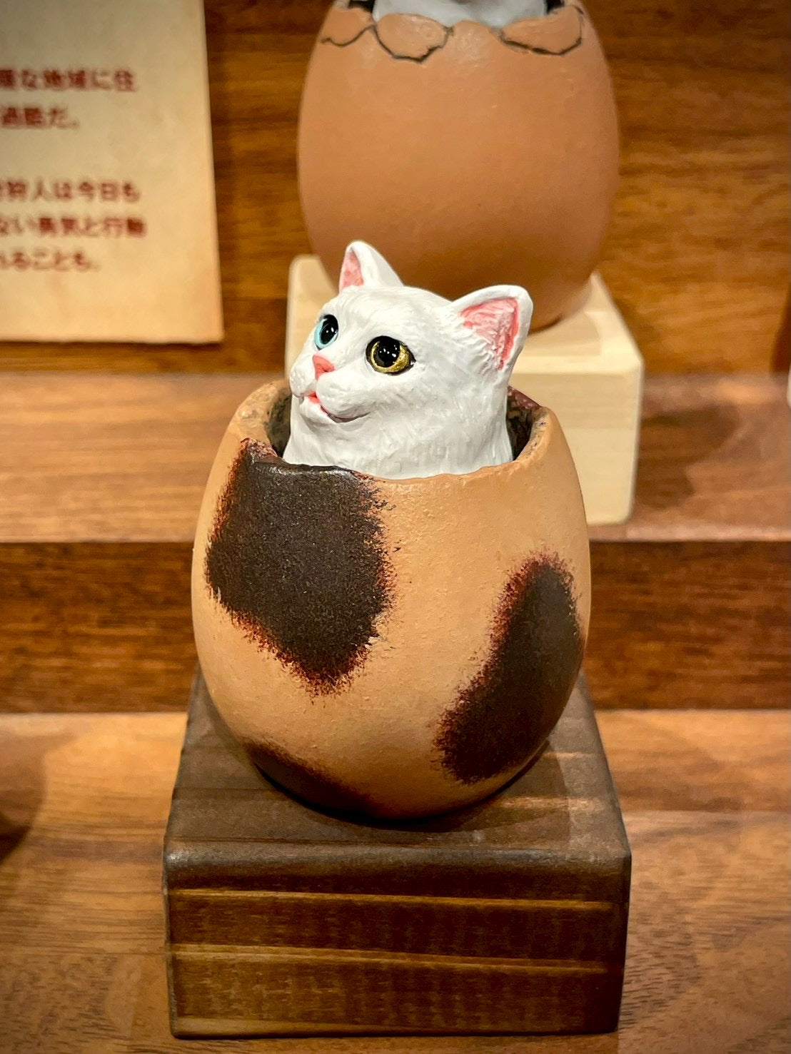 ひょこっとタマゴネコ(白猫オッドアイ)Hatching Cat