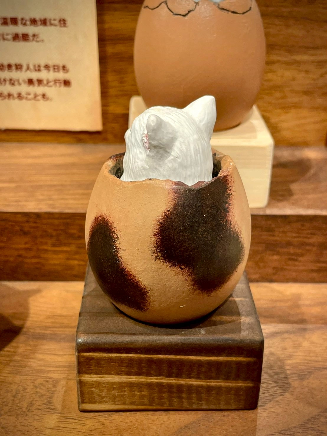 matamata