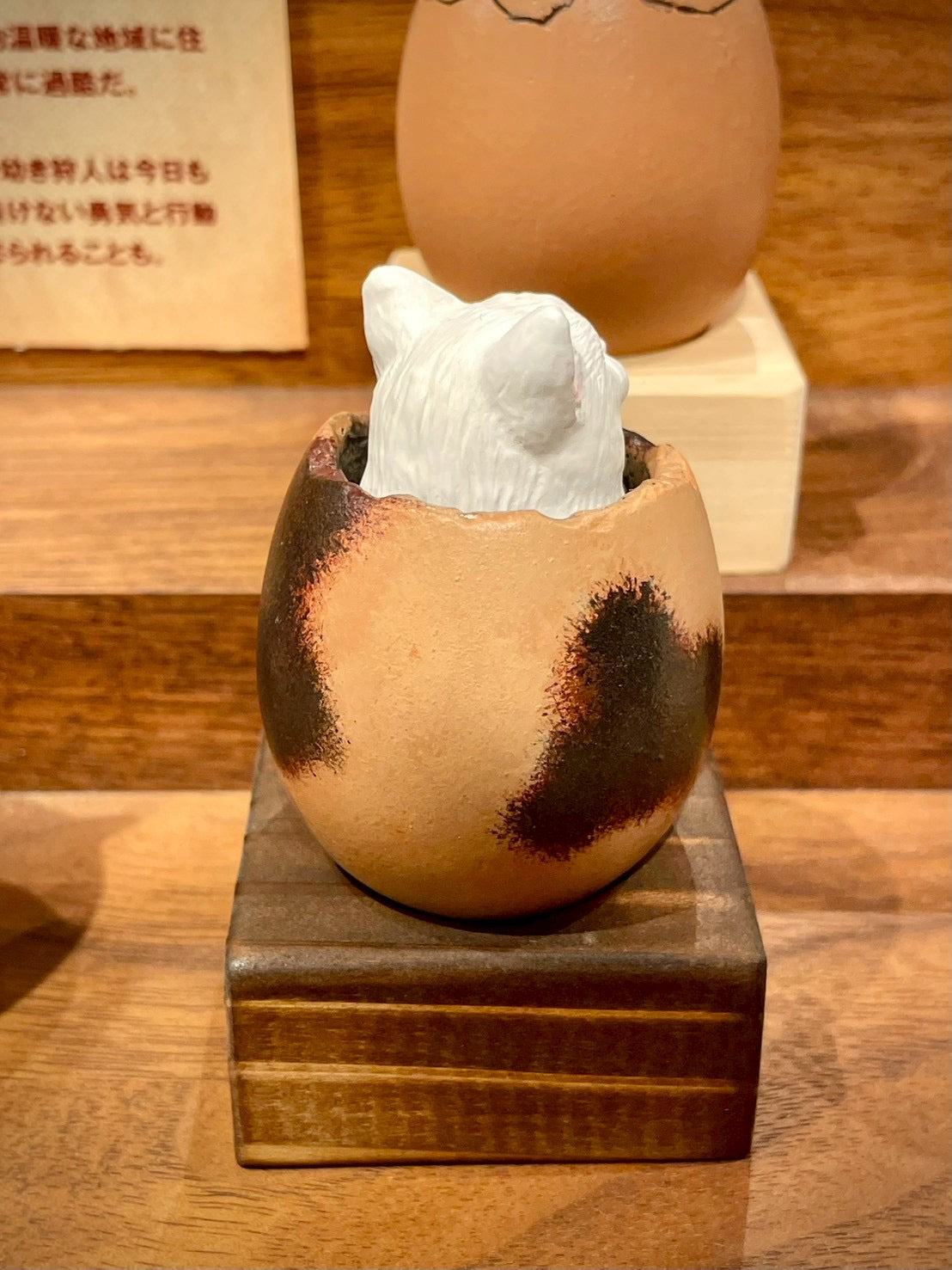 matamata