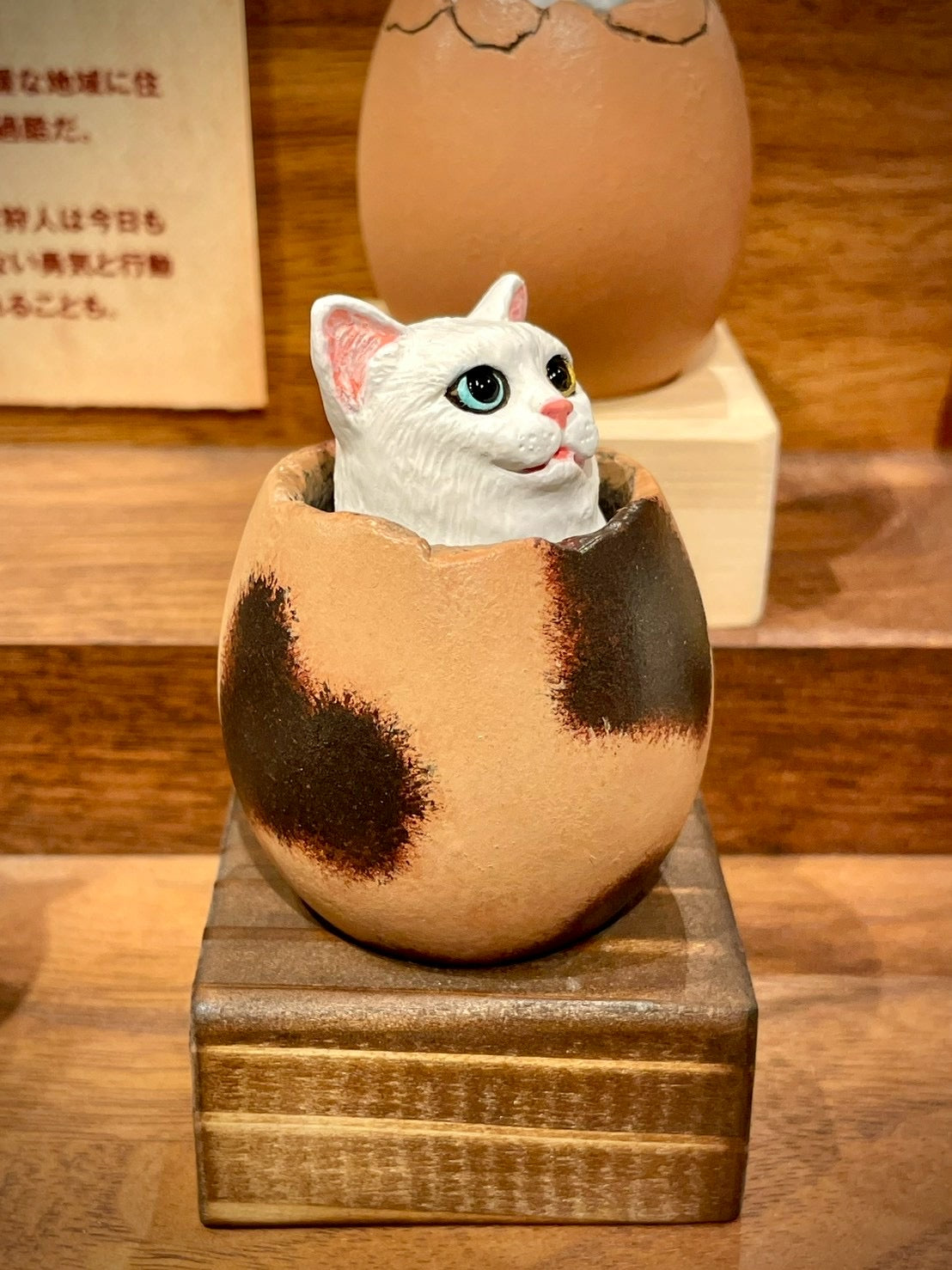 matamata