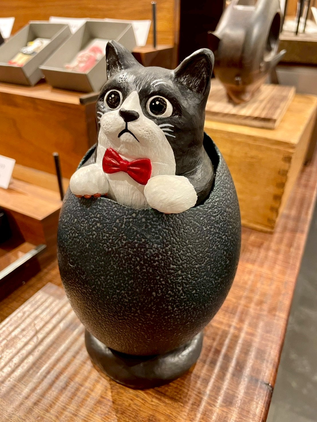 サブちゃんの誕生/Hatching Cat