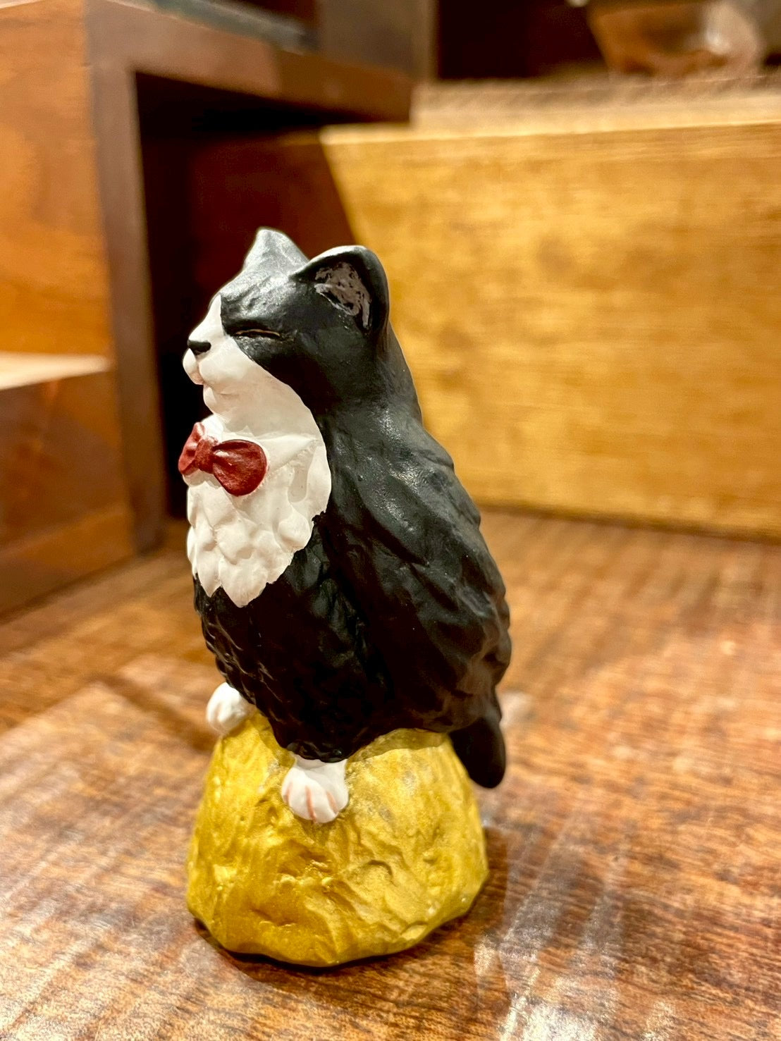 お眠りネコミミズク(サブちゃん)Owl Cat