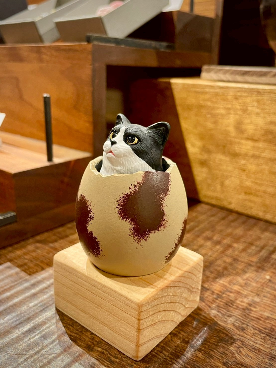 ひょこっとタマゴネコ(ハチワレ)Hatching Cat