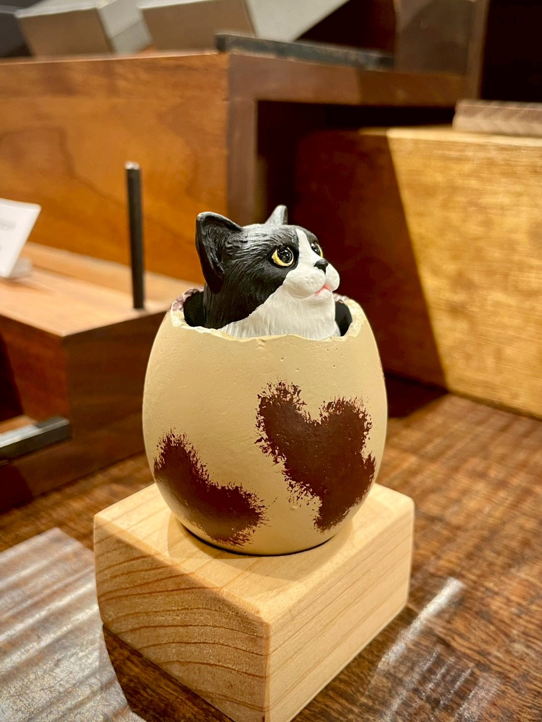 matamata